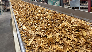 Tobacco leaf processing (re-drying)